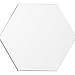 Награда «Hexagon»